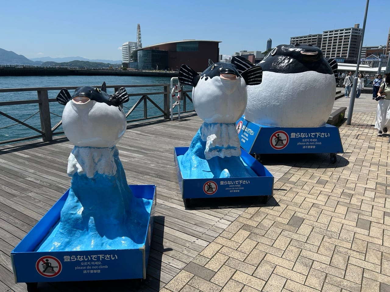 Three large pufferfish statues on blue mobile pedestals.